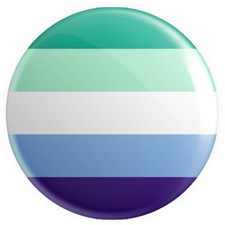 LGBTQ+ Pride Flags BUTTON PIN