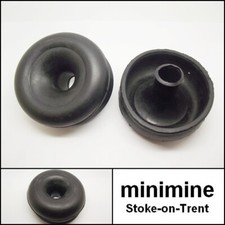 Classic Mini Hydrolastic