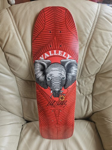 Powell peralta mike vallely - powell,