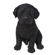 NEW Black Labrador Puppy Pet