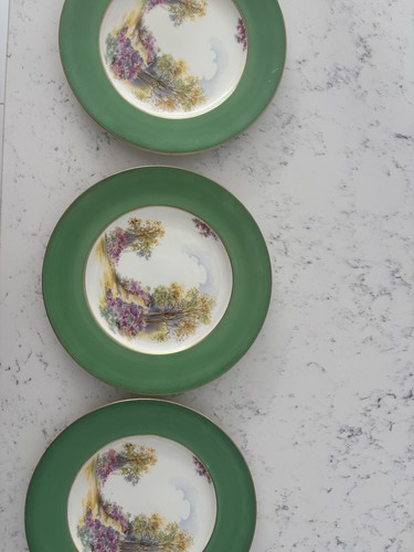 Shelley england dinner plates - england,