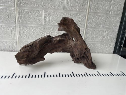 Aquarium natural wood - aquarium,