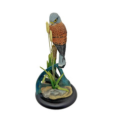 BORDER FINE ARTS KESTREL (