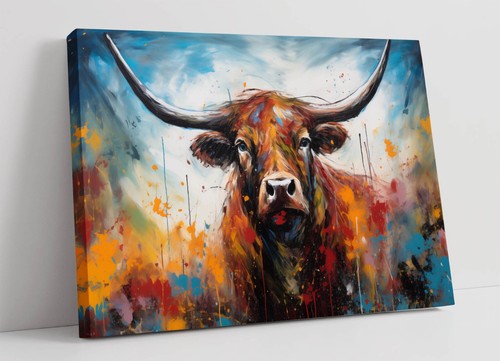 Highland cow field pollock - field,