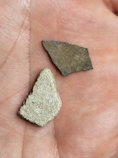 Raptor & Saltasaurus Egg