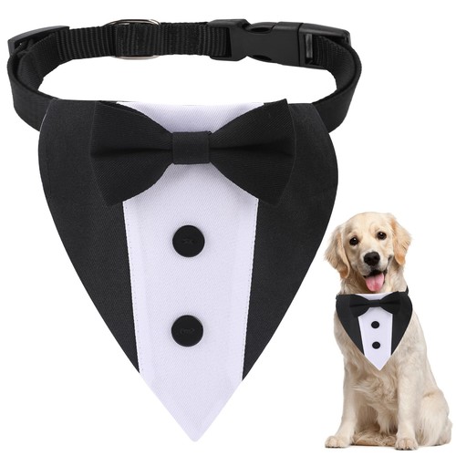 Dog tuxedo wedding bandana - dog,
