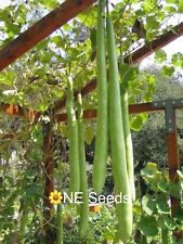 🌼 100% Genuine Bangladeshi