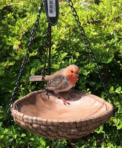 Robin feeder heart shaped - feeder,