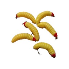 6 Maggot Fly Fishing Wet Trout