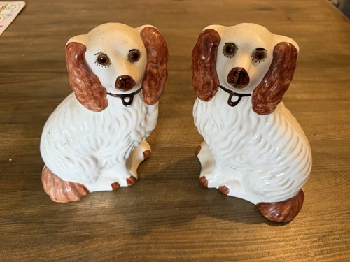Staffordshire vintage spaniel - staffordshire,