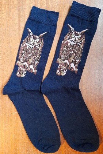 Novelty eurasian eagle owl - novelty,
