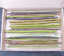 20 x 20cm (8") Various Types