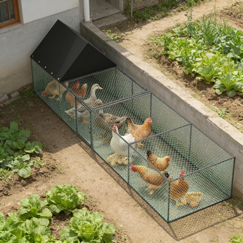 Expandable large chicken - large,