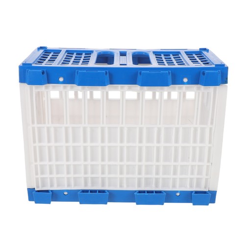 Pigeon release cage - pigeon,