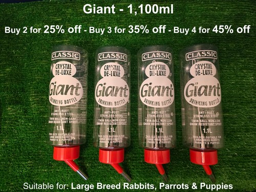Classic water bottle rabbit - bottle,