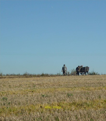 Photo 6x4 horse drawn plough - horse-drawn,