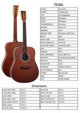 Guitar By Tanglewood, Model