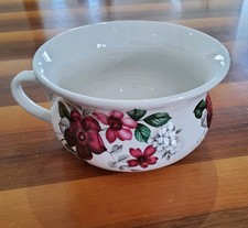 Vintage Portmeirion Botanic