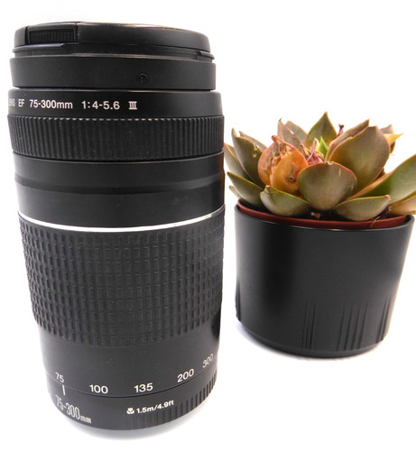 Canon 300mm 5 6 - canon, 75-300mm