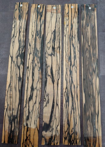 Pale moon ebony acoustic - moon,