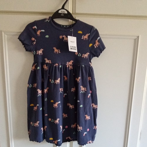Bnwt next girls dress - bnwt,