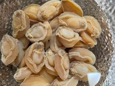 Dried Abalone 干鲍鱼 100g UK seller free shipping