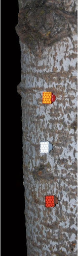 Products reflective wing - products,