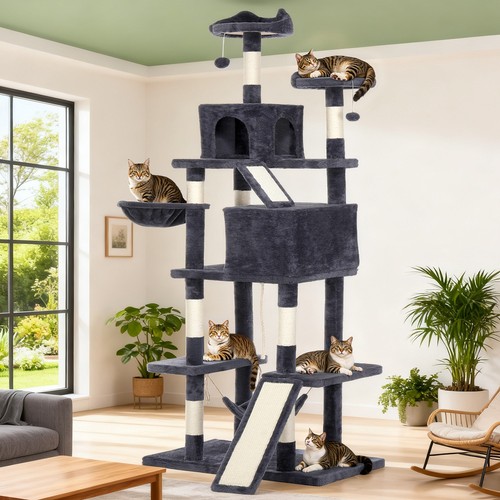 Layer cat tree activity - cat,