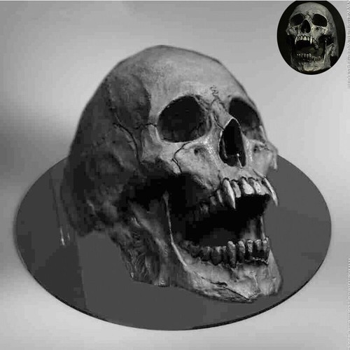 Skull stainless men steel - men's,