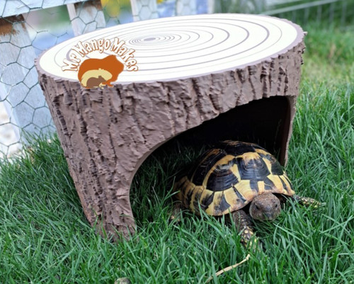Tortoise tree stump - tortoise,