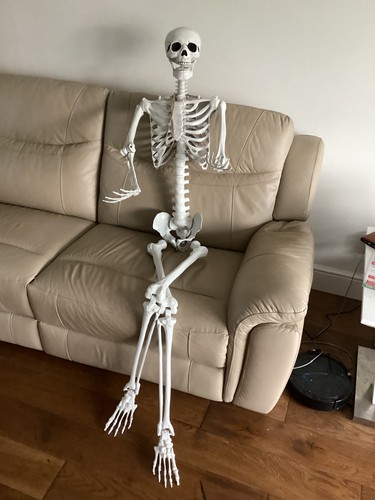 170cm skeleton full size - 170cm,