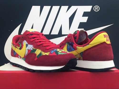 Vtg 2015 nike air pegasus - 2015,