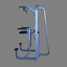 Precor Icarian Assisted Chin Dip