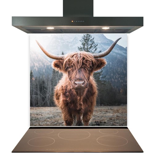 Kitchen glass splashback - kitchen,