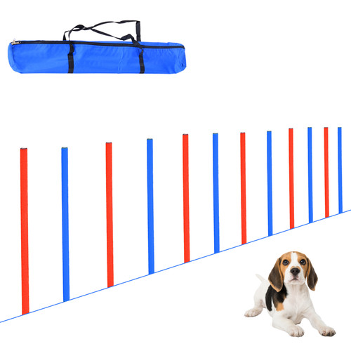 Dog agility training - dog,