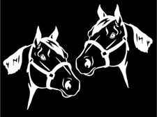 Horse Trailer Decals Two Large 16" Quarter Horse Mirrored Image vinyl graphics