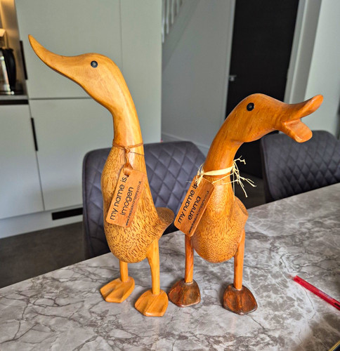 Dcuk the duck - company, wooden