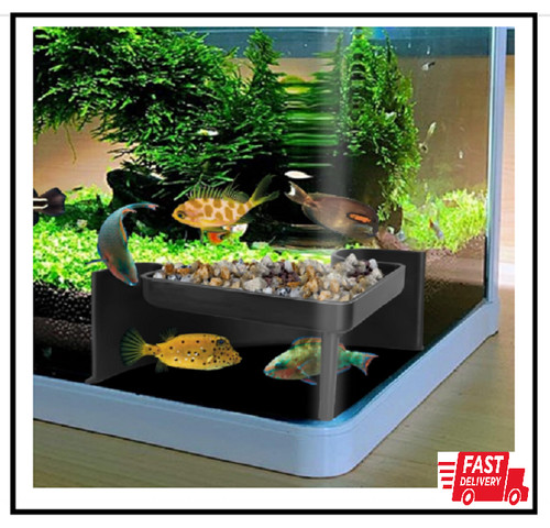 Underground aquarium cave with - underground,