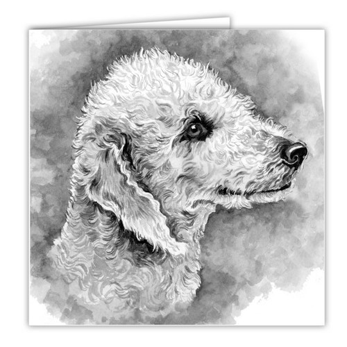Bedlington terrier greetings - terrier,