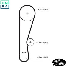 TIMING BELT 5119 FOR HONDA