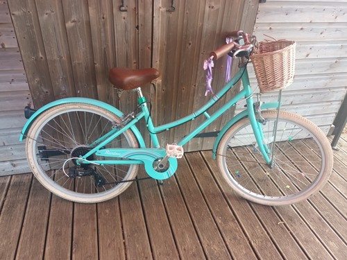 Dutch style bike suit 10 - bike,