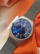 SKAGEN. Sundby Titanium and