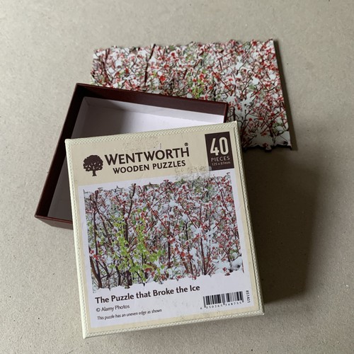 Wentworth wooden micro jigsaw - wentworth,