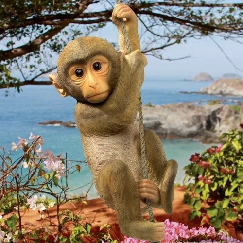 Climbing monkey tree - climbing, rope