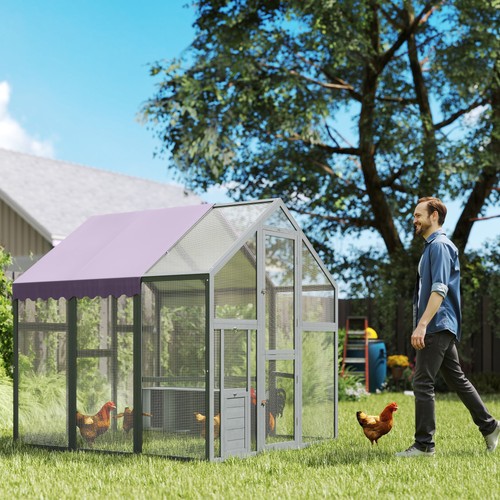 Large chicken run walk in - large,