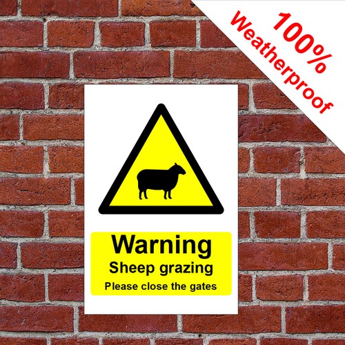 Warning sheep grazing please - grazing,