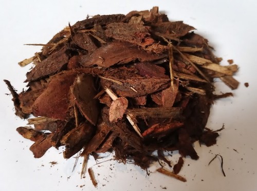 Orchid and reptile - bark, chips