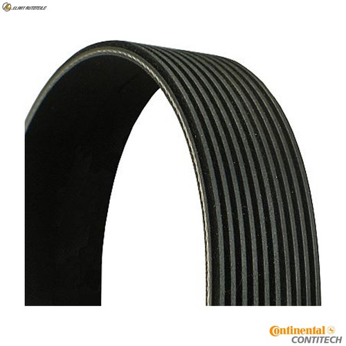 Ribbed belt 10pk1512 for - v-ribbed,