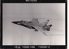 Foxhound 35 Black and White