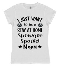 Stay at Home Springer Spaniel